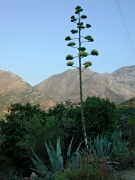 Crete scenery