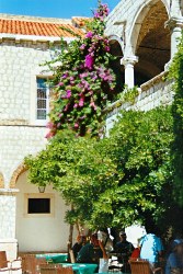typical view
