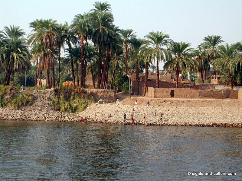 cruise on the Nile -  river banks at Luxor