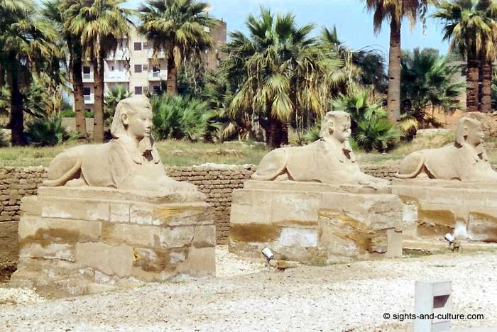 Luxor avenue of human-headed sphinxes
