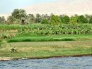 Nile scenery with plantation
