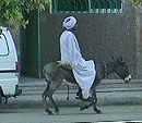 riding donkey