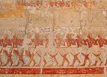 temple Hatshepsut fresco expedition to Punt
