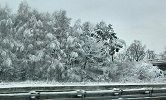 fresh fallen snow - on the highway-02
