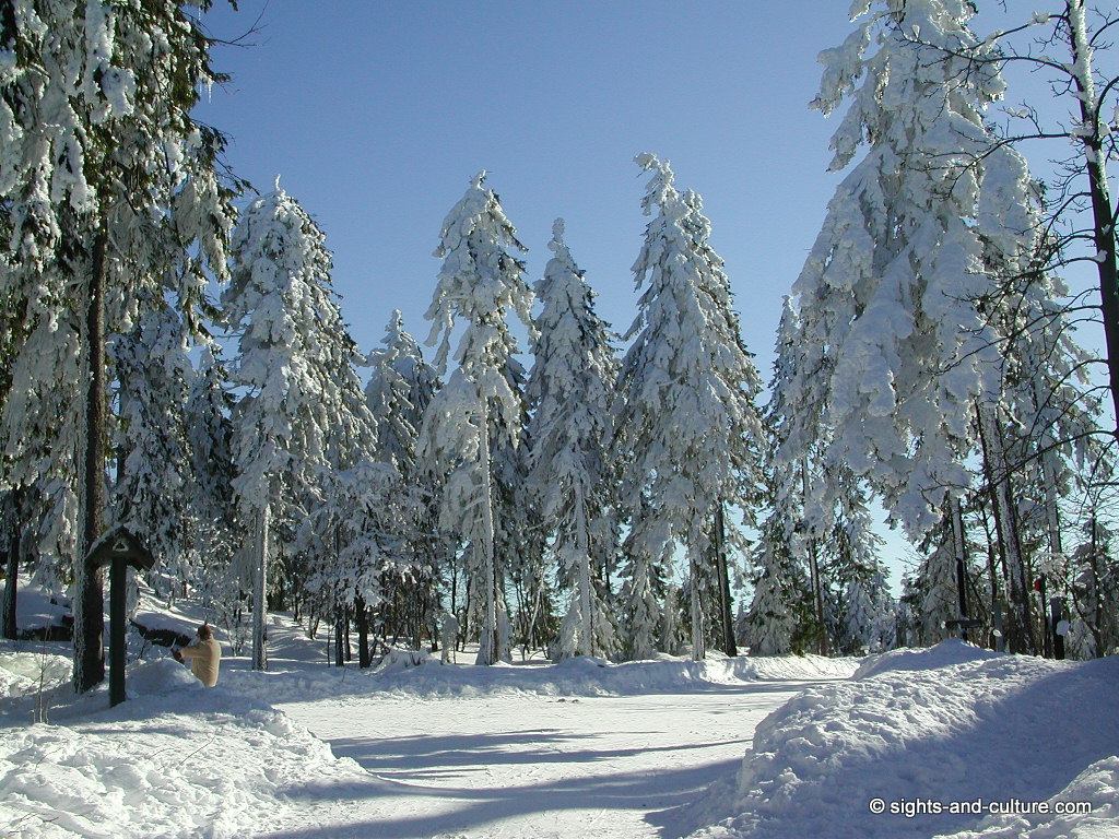 Winter in Germany - white splendour in Bavaria