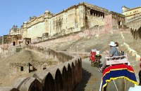 Jaipur Amber fort elefant ride