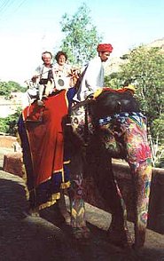 Jaipur elephant ride to the Amber fort