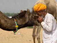 Impression of the Pushkar fair