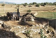 irrigation system - Persian wheel
