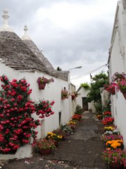 Alberobello - flower alley