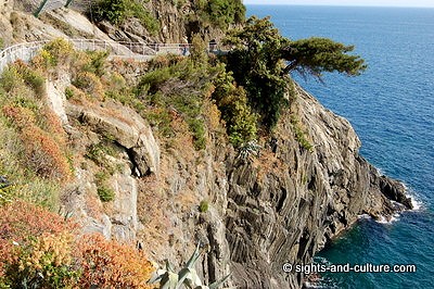 Cinque Terre - Riomaggiore