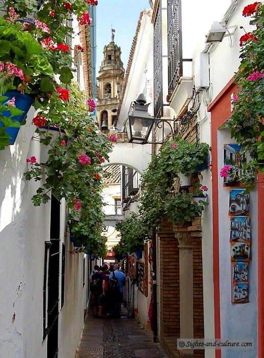 Cordoba Flower Alley