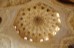 Alhambra stalactide cupola
