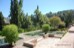 Alhambra daraxa gardens