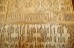 Alhambra ornamental art work