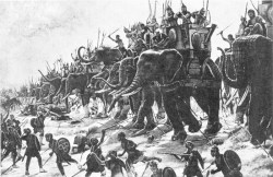 Battle at Zama with war elefants (second Punic war - painting by H. P. Motte