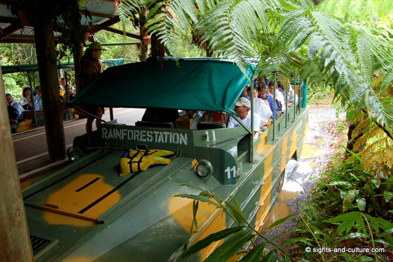 rainforest-amphibian vehicle