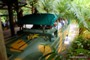 rainforest-amphibian vehicle-0222
