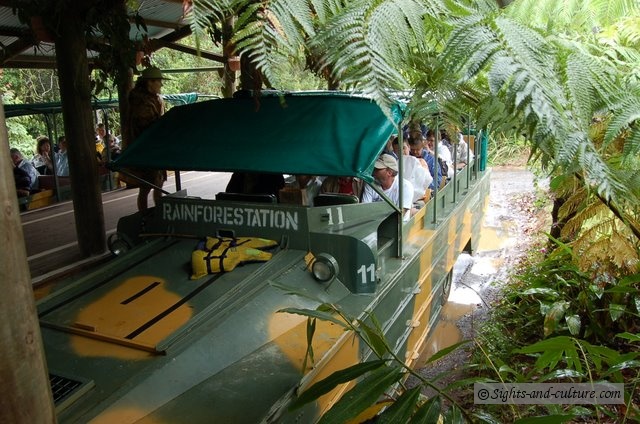 Wet Tropics, rainforest jungle, amphibious vehicle