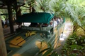 rainforest_0222.jpg