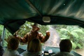 rainforest_0265.jpg
