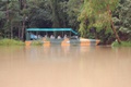 rainforest_0275.jpg
