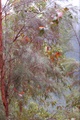 dsc_0077.jpg
