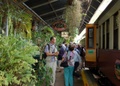 rainforest_kuranda_0105a.jpg