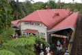 rainforest_kuranda_0108.jpg