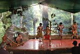 Pamagirri Aboriginal dance show at Kuranda Rainforeststation