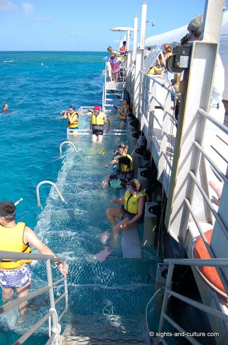 Great Barrier Reef - sunlover cruise snorkel board