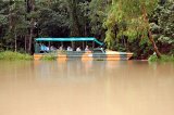 Army Duck at Rainforeststation