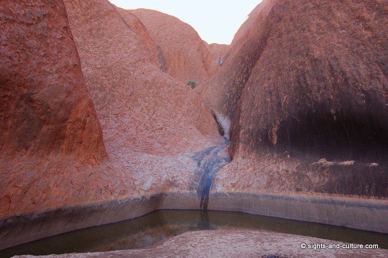 Uluru water hole