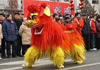 Spring Festival Lion
