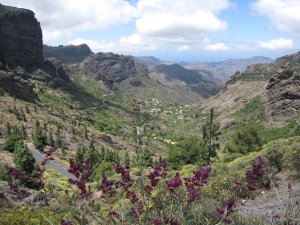 Gran Canaria - Berge am Roque Nublo